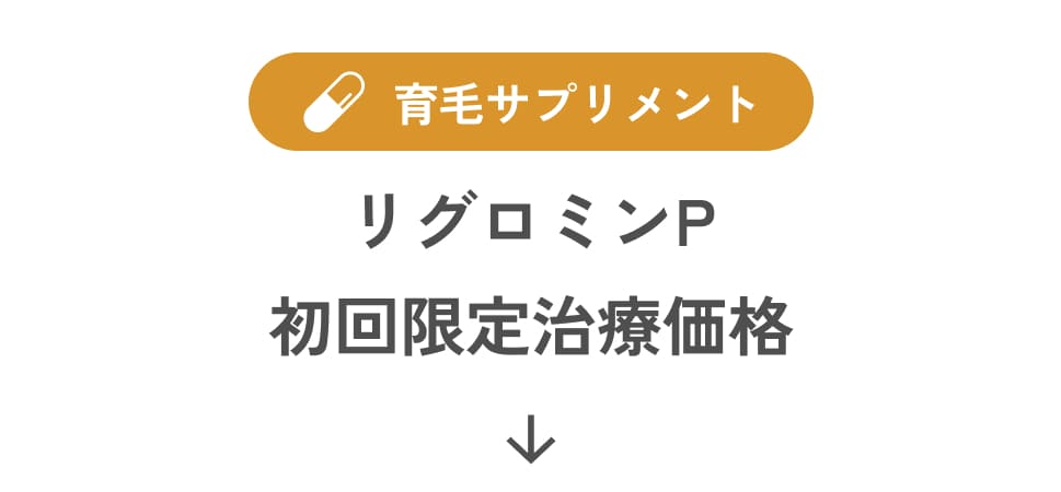 育毛サプリメント グロミンP初回限定治療価格