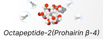 オクタペプチド-2（Prohairin β4）