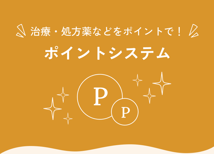 ポイントシステムについて