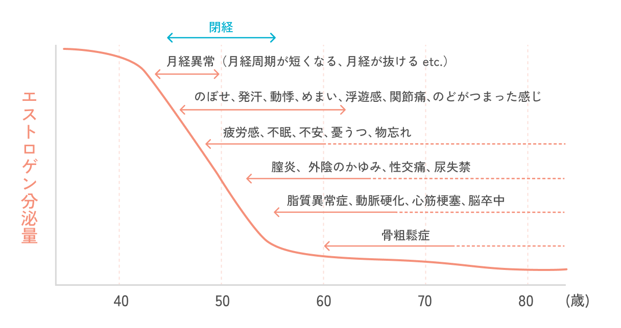 エストロゲン分泌量