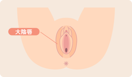 大陰唇縮小手術